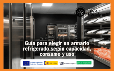 Guía para elegir un armario refrigerado según capacidad, consumo y uso