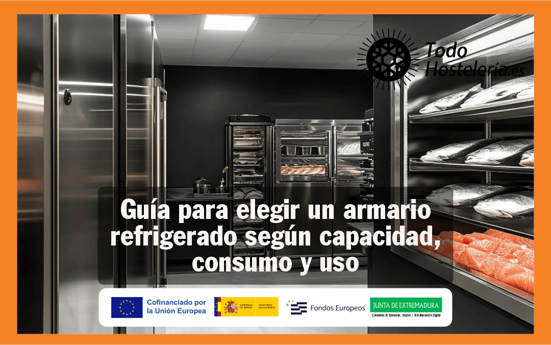 Guía para elegir un armario refrigerado según capacidad, consumo y uso