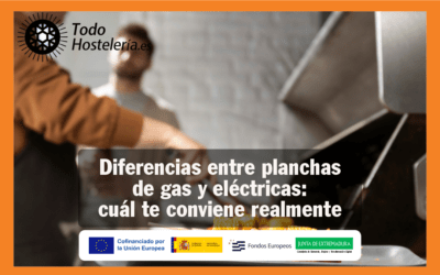 Diferencias entre planchas de gas y eléctricas: cuál te conviene realmente