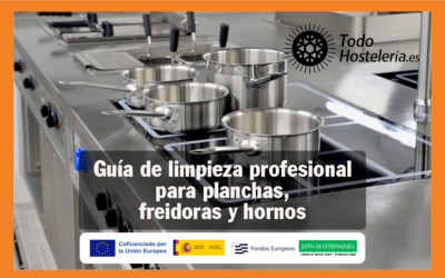 Guía de limpieza profesional para planchas, freidoras y hornos